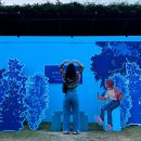 덕유산수영장민박 | 2025년 무주 산골영화제 덕유대 야영장 5영지 적재 공연, 낙화축제
