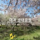쿨호프 - 삼척시 중앙로 199 | 쿨호프