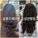헤브론 | 유성구미용실 살롱드헤브론 유성관평점 클리닉후기