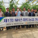 세도농협 농산물유통센터 이미지