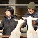 영기목장 네이버블로그