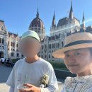 일상맥주 이미지