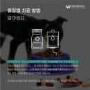 더블유동물의료센터 이미지