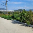 현농장 Daum카페