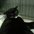 리즈동물병원 이미지