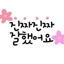 윤희꽃글씨