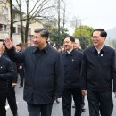 녹수청산 이미지