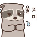 분당-397 이미지