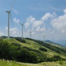 청옥목장 이미지