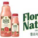 플로리다 농장 이미지