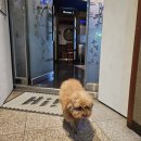 다이아 노래연습장 이미지