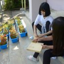 여수개도중학교 이미지