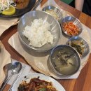 양촌리 | 의정부 돈까스 맛집, 민락동 양촌리돈가스 후기 쭈꾸미덮밥까지 상세 공유