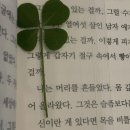 녹색미학 이미지