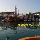 어장과활어센타
