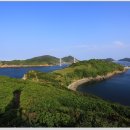 녹산사슴 이미지