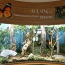 충청남도 산림박물관 이미지