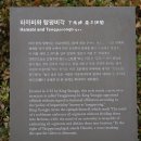 문묘와 성균관대학교 은행나무와 단풍구경 (2022.11.1.화) 이미지