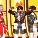 샤이니독 이미지