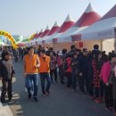 구룡포 아라축제 이미지