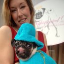 애견부티크 이미지