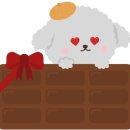 뉴월드 동물병원 이미지