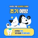 해온동물병원 이미지