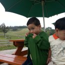 윤성목장 이미지