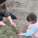 학전농장 이미지