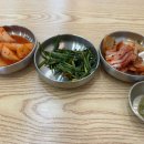 돈곰 이미지
