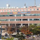 서구건강가정다문화가족지원센터 이미지