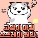 297. 고양이 마킹,스프레이 원인! 이미지