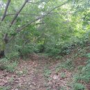 직지문화모티길 이미지