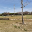 한빛파크 이미지