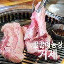 요제농장 | 거제 식물원 근처 맛집, 육즙 가득한 거제 돼지고기 '꿀꿀이 농장' 솔직 후기