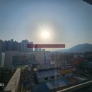 대남공인중개사사무소 이미지