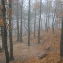 가을 비박 산행(산음자연휴양림) 이미지