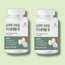 티피컴퍼니