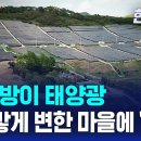 [유튜브] 온 사방이 태양광…새카맣게 변한 마을에 '분노' / SBS 8뉴스 이미지