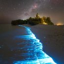 바다야 별아 이미지