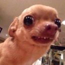 용지봉 식당 이미지