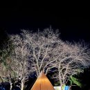 CU 거제아주반딧불점 | 거제 캠핑장 거제 쉬어가조 펜션, 캠핑 추천