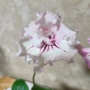 BS소프트 이미지