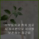 천안더맑은치과의원 | 신부동치과 충치 치료 시 최소한으로 치아를 보존하는 접근법