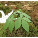 학선농장 이미지