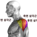 노바(NOVA GYM) 이미지
