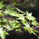 목리목장 이미지