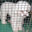 완월동225 이미지