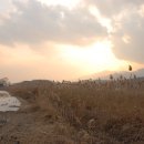 합수농장 이미지