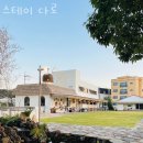 스테이 230 네이버블로그